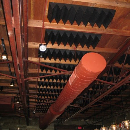 SONEX Tec Sound Proofing Wedges
