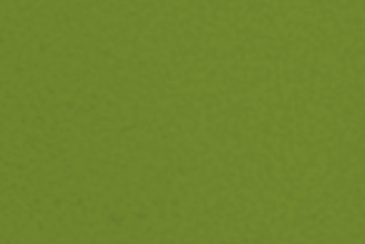 Olive Olive
